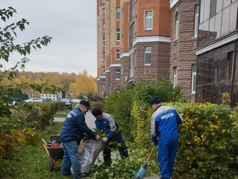 Наша управляющая компания каждый день работает над тем, чтобы вам было комфортно и безопасно.